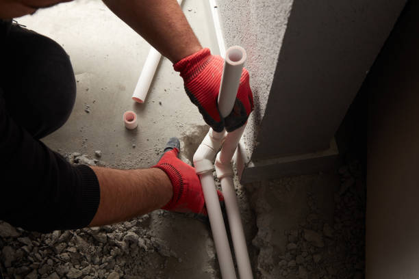 Best Same-Day Plumbing Service  in Janesville, MN