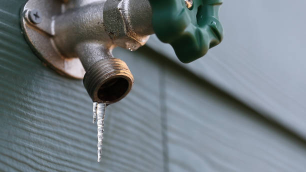 Best 24-Hour Plumber Near Me  in Janesville, MN