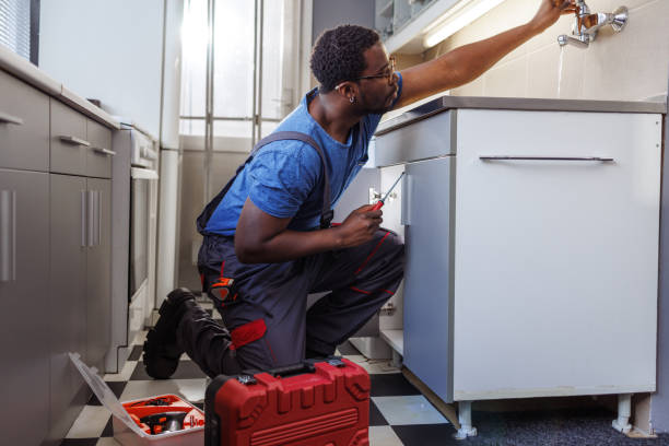 Best Leak Detection Services  in Janesville, MN