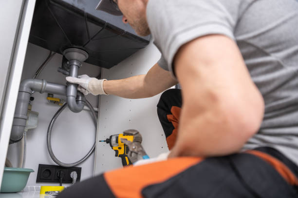 Best Plumbing Services Near Me  in Janesville, MN